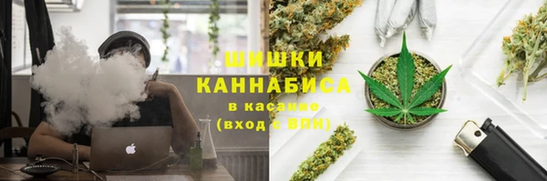 ECSTASY Богородицк